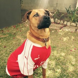 Meet your Posher, Nicola